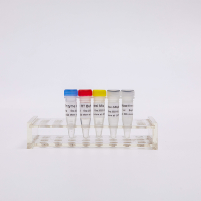 rt PCR مزيج لعكسيّ Transcriptase PCR كاشف R1031 100 Rxns
