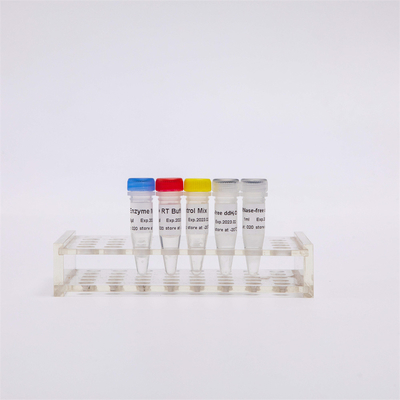 R1031 GDSBio أوّل طاق CDNA تأليف RT-PCR مزيج ل QPCR premixed rna عكس Transcriptase PCR كاشف